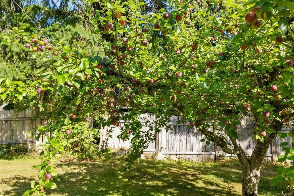 1818 Sachts Road, Kelsey Bay/Sayward, BC, V0P 1R0 - 42