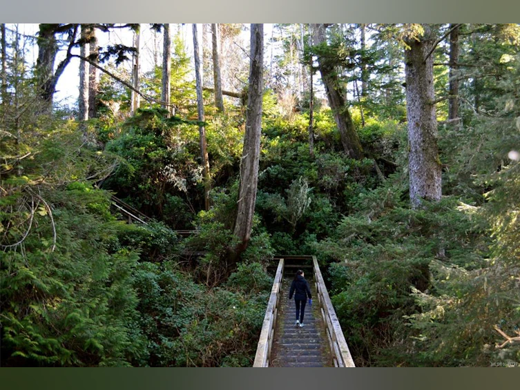 204-596 Marine Drive, Ucluelet, BC, V0R 3A0 - 35