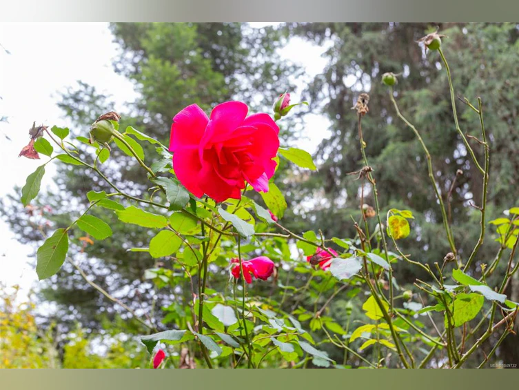 1-2670 Sooke River Road, Sooke, BC, V9Z 0Y2 - 30