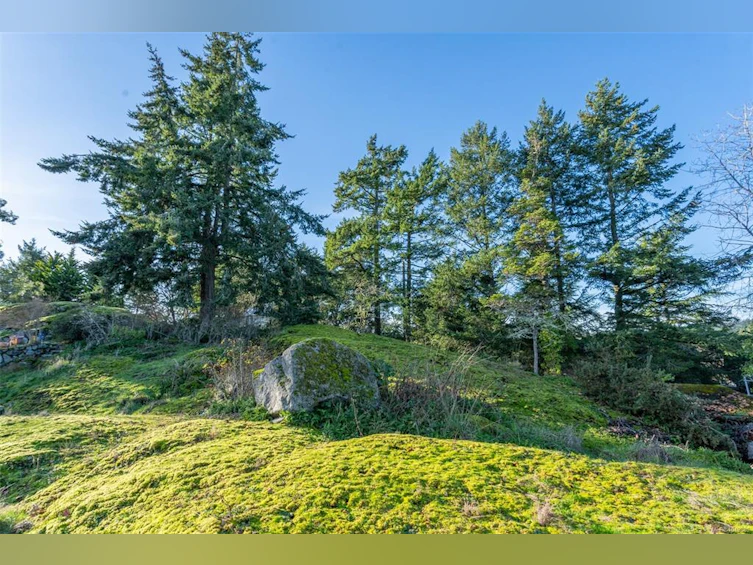 310 Bessborough Avenue, View Royal, BC, V9B 1T7 - 33