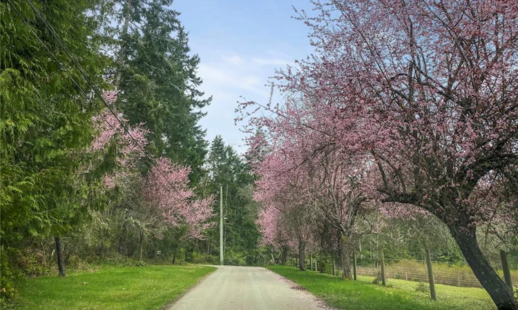 899,875 Andreef Road
