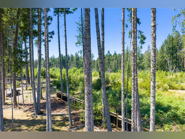 1175 Evergreen Way, Errington, BC, V9P 2B1 - 75