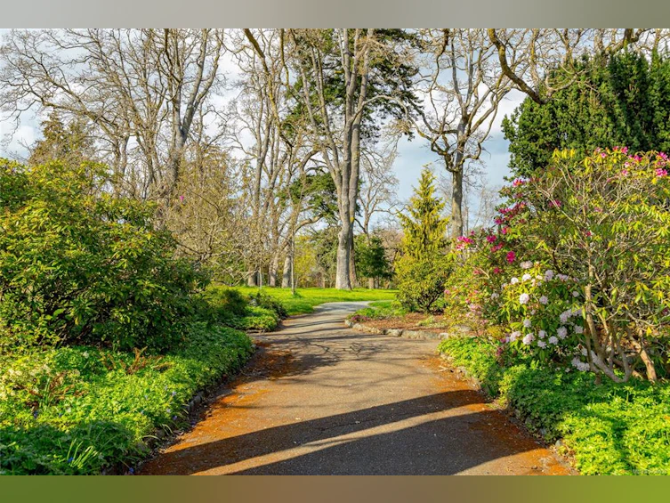A-2235 Shelbourne Street, Victoria, BC, V8R 4L2 - 32