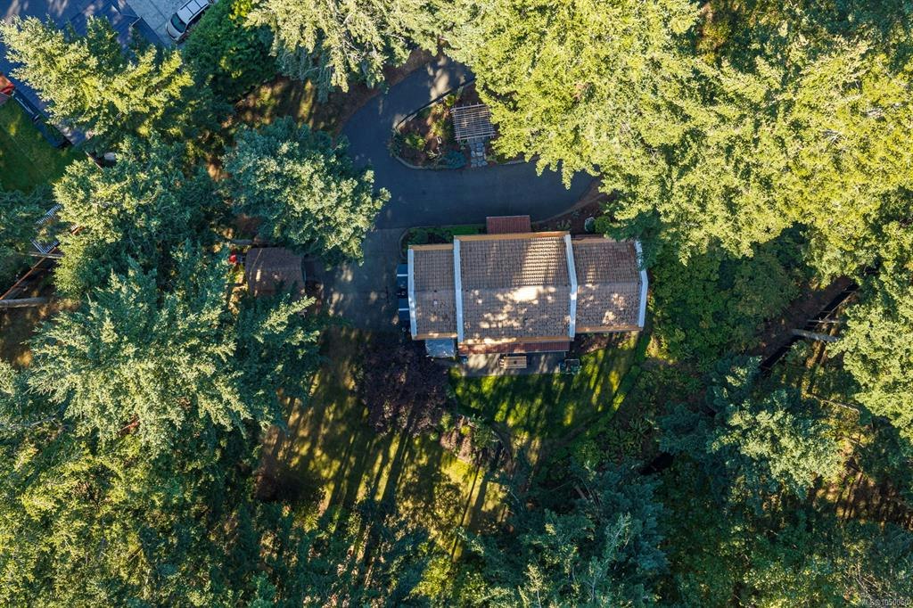 2219 Sea Lion Way, Comox, BC, V9J 1Y2 - 13