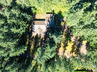 9498 Doyle Road - 3