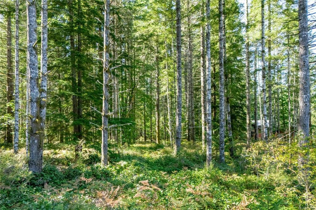 9498 Doyle Road, Black Creek, BC, V9J 1E7 - 88