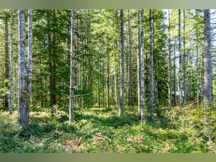 9498 Doyle Road, Black Creek, BC, V9J 1E7 - 88