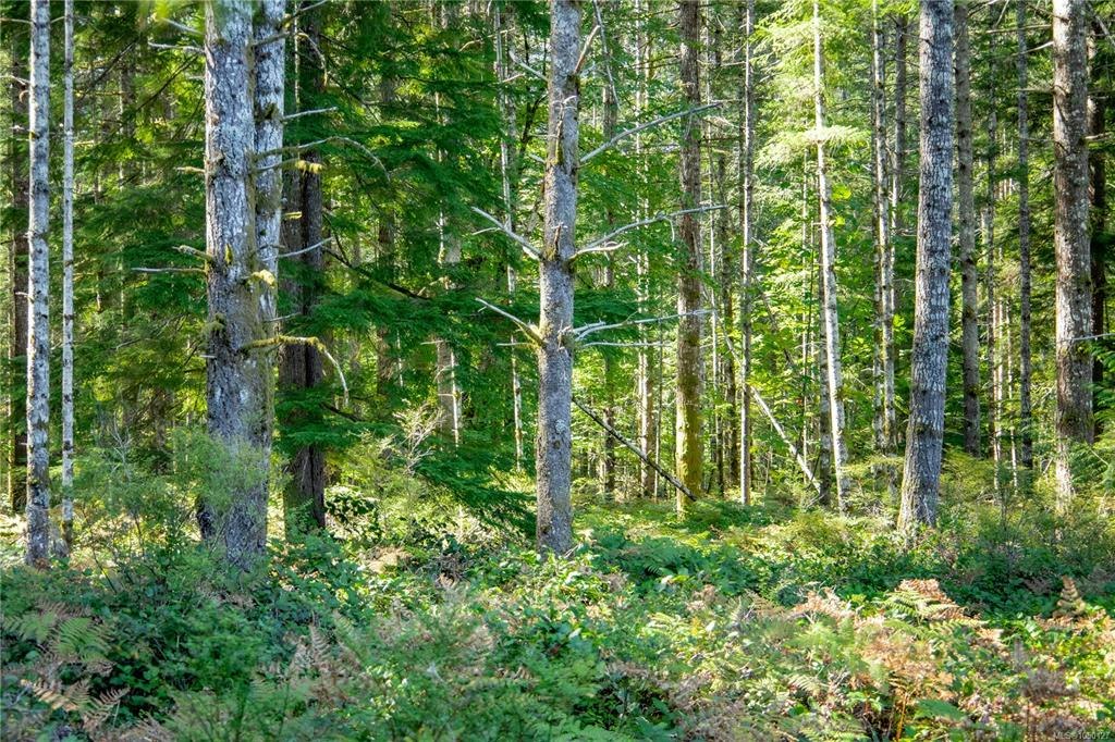 9498 Doyle Road, Black Creek, BC, V9J 1E7 - 43