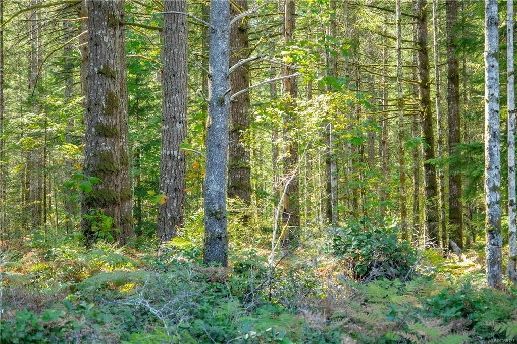 9498 Doyle Road, Black Creek, BC, V9J 1E7 - 44