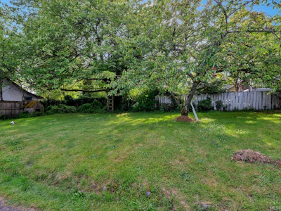 311 Holly Avenue - 4