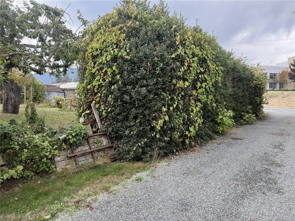 532 Buller Street - 5