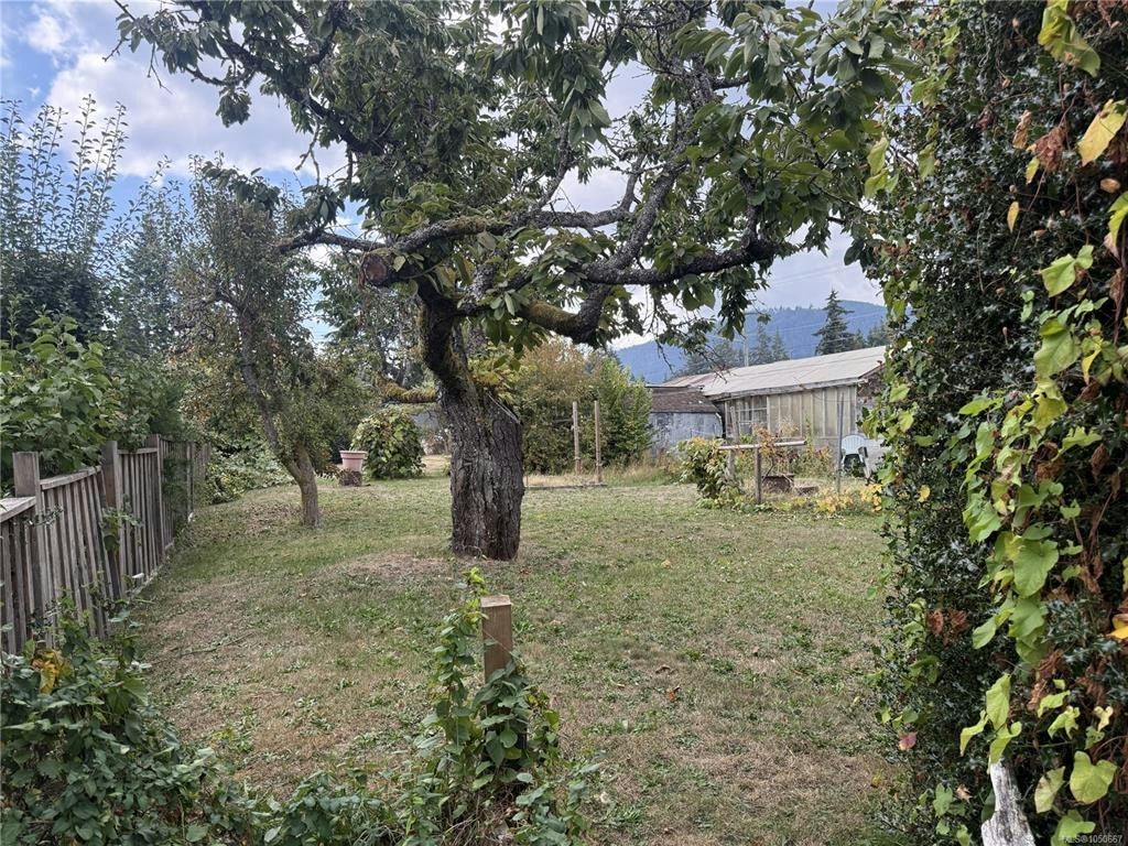 532 Buller Street - 4