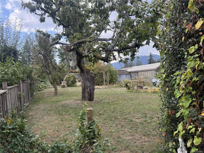 532 Buller Street - 4
