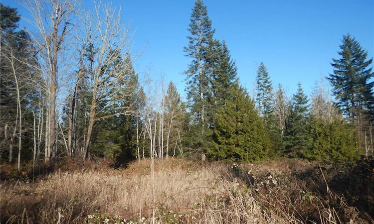 LOT 2 Artela Drive