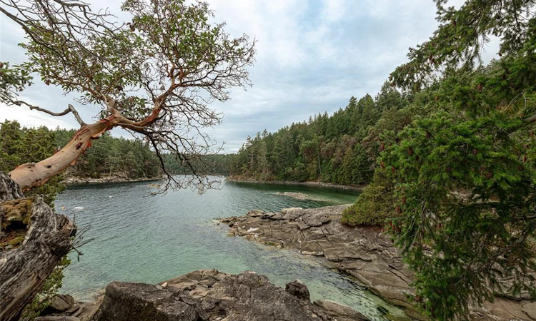 Lot 8 Ruxton Island
