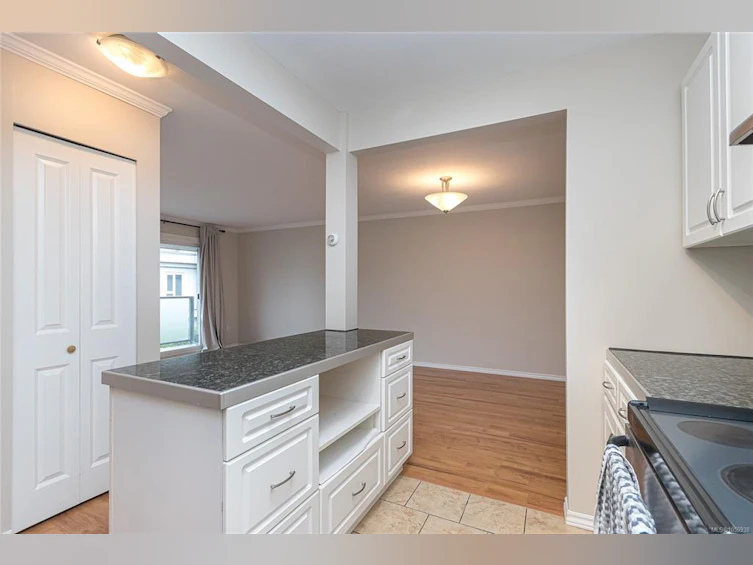 403-1342 Hillside Avenue, Victoria, BC, V8T 2B4 - 16