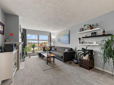 304-535 Manchester Road - 3