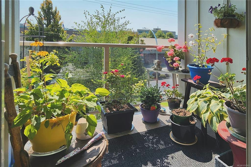 304-535 Manchester Road, Victoria, BC, V8T 5J1 - 9