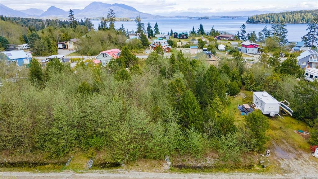 1138 Fifth Avenue, Port Alberni, BC, V0R 3A0