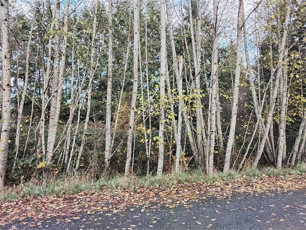 Lot E Tatton Road, Courtenay, BC, V9N 7E4