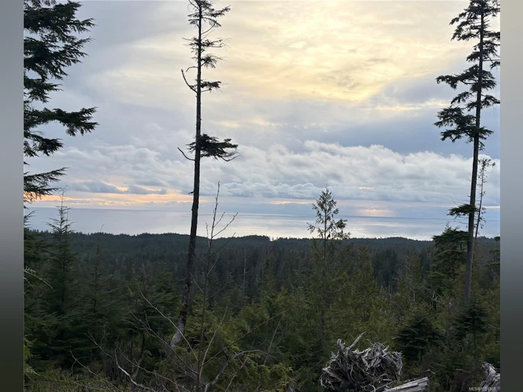 0 Michigan Main Road, Bamfield, BC, V0R 1B0
