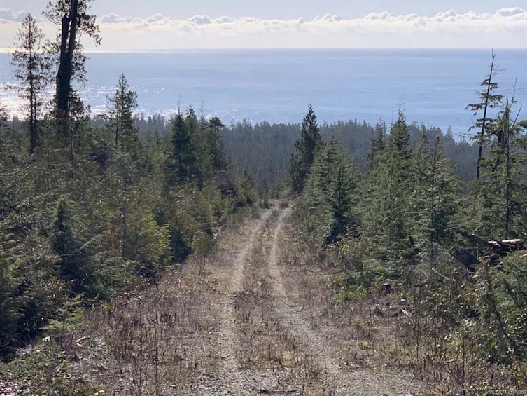0 Michigan Main Road, Bamfield, BC, V0R 1B0 - 2