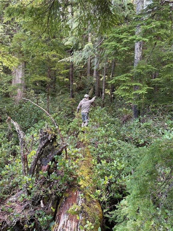 0 Michigan Main Road, Bamfield, BC, V0R 1B0 - 6