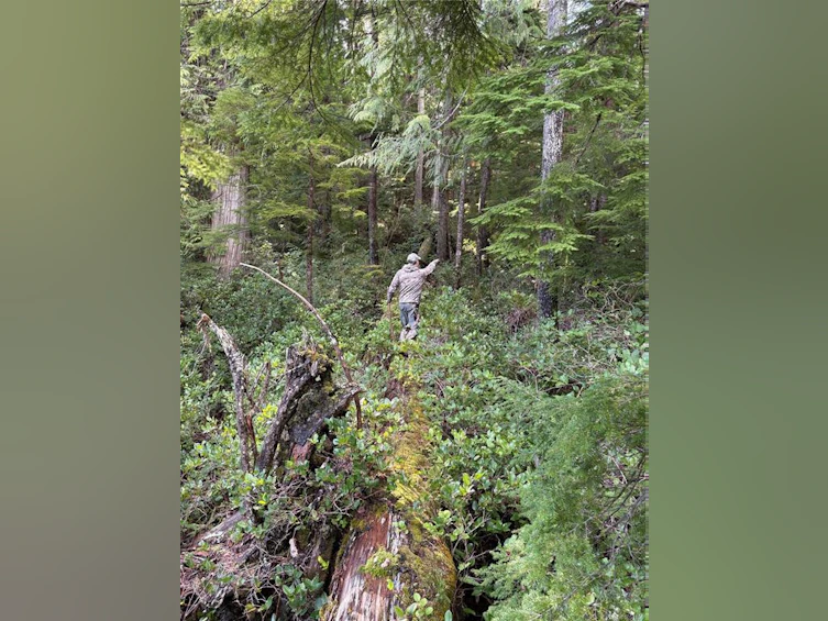 0 Michigan Main Road, Bamfield, BC, V0R 1B0 - 6