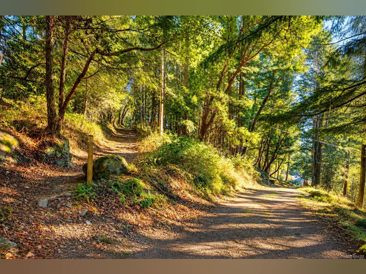 1183 Hillgrove Road, North Saanich, BC, V8L 5R8 - 29