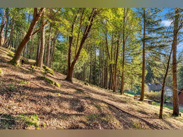 1183 Hillgrove Road, North Saanich, BC, V8L 5R8 - 4