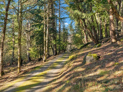 1183 Hillgrove Road - 3