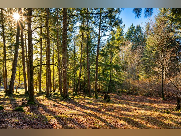 1183 Hillgrove Road, North Saanich, BC, V8L 5R8 - 27
