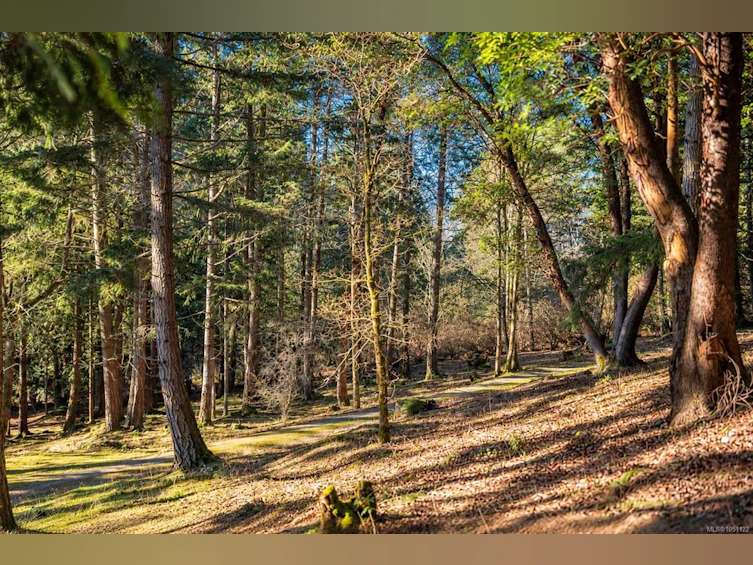 1183 Hillgrove Road, North Saanich, BC, V8L 5R8 - 8