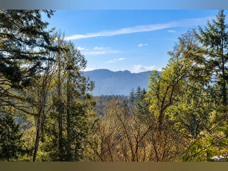 1183 Hillgrove Road, North Saanich, BC, V8L 5R8 - 9