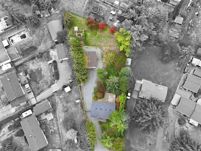 1951 Szasz Drive - 2