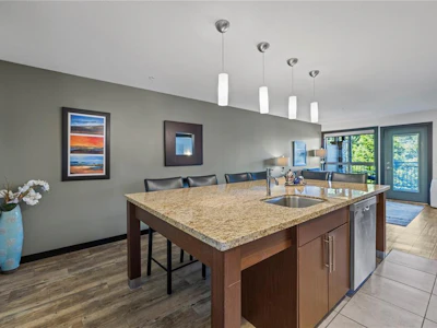 224-1175 Resort Drive - 4