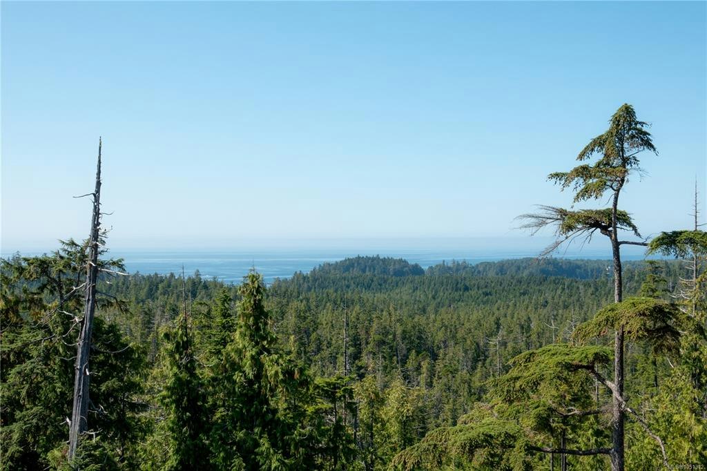 1071 Uplands Close, Ucluelet, BC, V0R 3A0 - 39