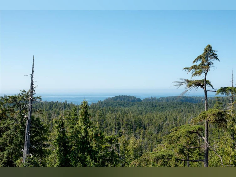 1071 Uplands Close, Ucluelet, BC, V0R 3A0 - 39