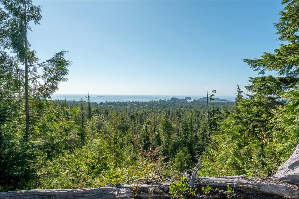 1071 Uplands Close, Ucluelet, BC, V0R 3A0 - 40