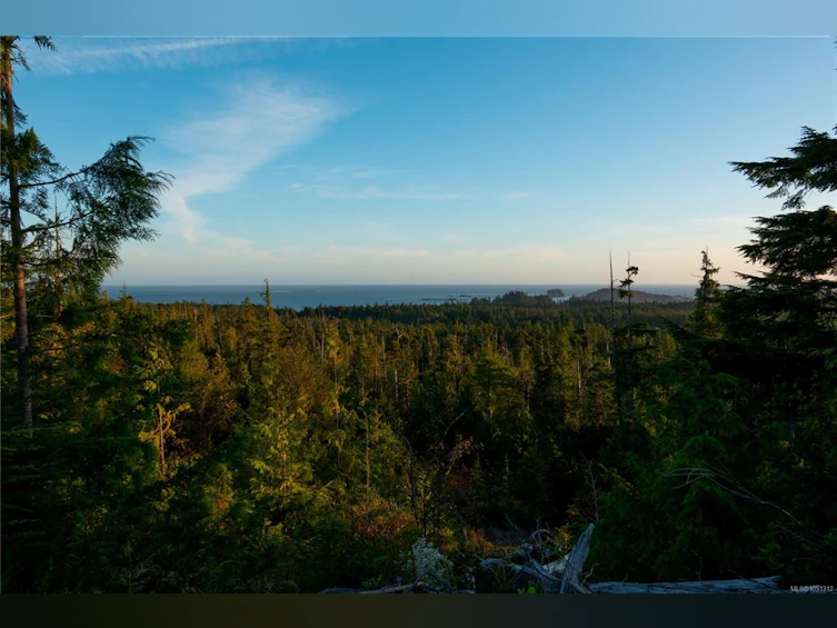 1071 Uplands Close, Ucluelet, BC, V0R 3A0 - 48