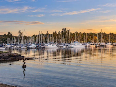 10724 Bayfield Road - 3