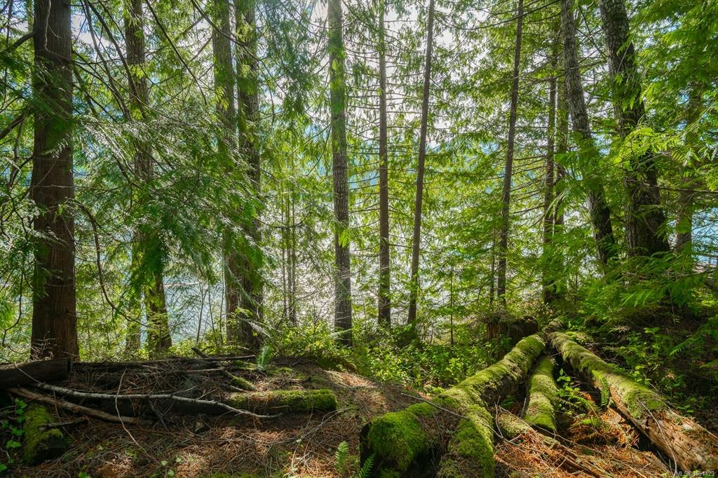 19320 Pacific Rim Highway, Port Alberni, BC, V9Y 8Z9 - 26