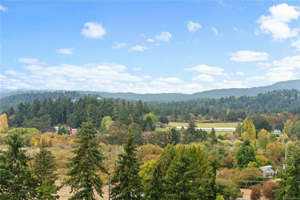 205-741 Travino Lane, Saanich, BC, V8Z 0G3 - 41