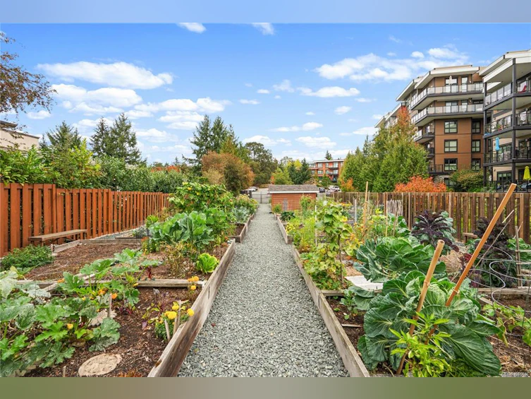 205-741 Travino Lane, Saanich, BC, V8Z 0G3 - 63