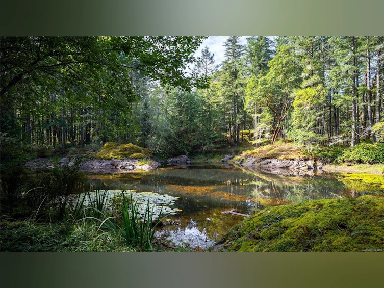 1870 Millstream Road, Highlands, BC, V9B 6E2 - 34