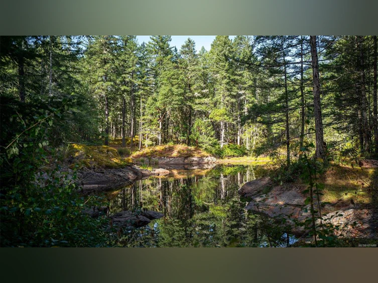 1870 Millstream Road, Highlands, BC, V9B 6E2 - 35