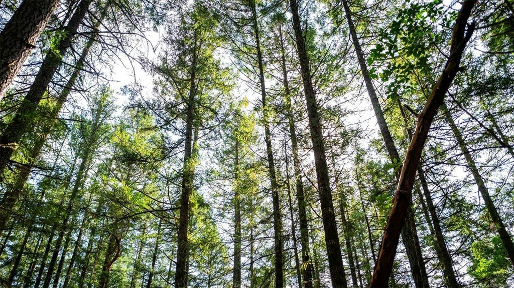 1870 Millstream Road, Highlands, BC, V9B 6E2 - 22