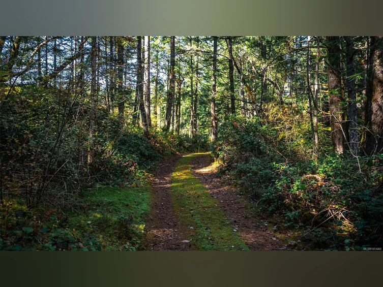 1870 Millstream Road, Highlands, BC, V9B 6E2 - 39