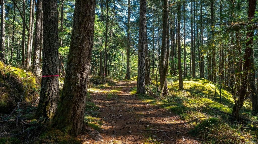 1870 Millstream Road, Highlands, BC, V9B 6E2 - 38