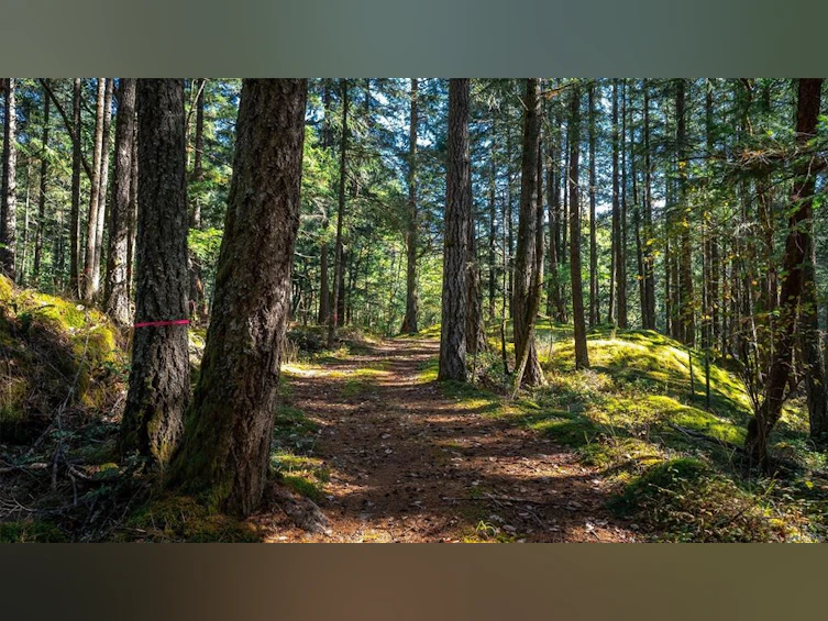 1870 Millstream Road, Highlands, BC, V9B 6E2 - 38